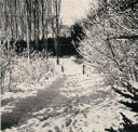 Filename=Winter_Scene.jpg
Filesize=122KiB
Dimensions=713x685
Date added=Mar 24, 2025 Winter_Scene.jpg