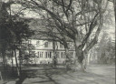 normal_Side_View_of_Fleming.jpg