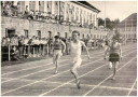 Filename=Athletics_Relay_Teams_56.jpg
Filesize=84KiB
Dimensions=726x514
Date added=Mar 17, 2025 Athletics_Relay_Teams_56.jpg