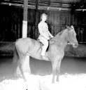Filename=582_Riding_Lydia___Alladin.jpg
Filesize=34KiB
Dimensions=289x299
Date added=Mar 18, 2025 582_Riding_Lydia___Alladin.jpg