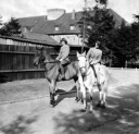 Filename=591_Riding_Jennifer___Lydia.jpg
Filesize=45KiB
Dimensions=319x307
Date added=Mar 18, 2025 591_Riding_Jennifer___Lydia.jpg