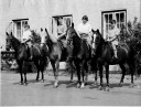 Filename=normal_061_X_Riding_Nansen_team.jpg
Filesize=106KiB
Dimensions=800x610
Date added=Mar 18, 2025 normal_061_X_Riding_Nansen_team.jpg