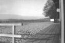 Filename=118_View_across_sands.jpg
Filesize=43KiB
Dimensions=496x329
Date added=Sep 22, 2021 118_View_across_sands.jpg