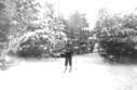 561_Murray_on_skis.jpg