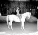 575_Riding_Jennifer___Tony.jpg