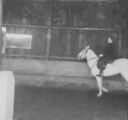 581_Riding_Coronet__.jpg