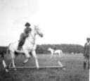 701_Riding_Herr_Kaufmann_Jennifer___Smoke.jpg