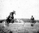 702_Riding_Allison_Bache___Alladin.jpg