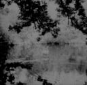 708_Ornamental_pond.jpg