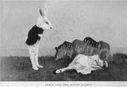 Filename=Alice_in_Wonderland_3.jpg
Filesize=44KiB
Dimensions=682x467
Date added=Dec 12, 2016 Alice_in_Wonderland_3.jpg