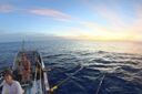 Filename=AoB_7.jpg
Filesize=69KiB
Dimensions=665x443
Date added=Jan 22, 2024 AoB_7.jpg
