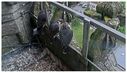 Filename=Chicks.JPG
Filesize=63KiB
Dimensions=598x344
Date added=Jun 10, 2024 Chicks.JPG