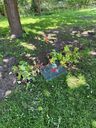 Filename=Image_11.JPEG
Filesize=294KiB
Dimensions=522x696
Date added=Jun 18, 2024 Image_11.JPEG