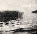 Filename=Lake_Scene.jpg
Filesize=81KiB
Dimensions=715x661
Date added=Dec 12, 2016 Lake_Scene.jpg