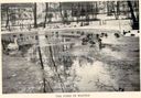 Filename=Pond_in_Winter_57.jpg
Filesize=75KiB
Dimensions=694x483
Date added=Dec 12, 2016 Pond_in_Winter_57.jpg
