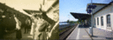 Filename=TandN_6.GIF
Filesize=221KiB
Dimensions=1137x409
Date added=Jun 13, 2018 TandN_6.GIF
