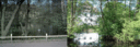 Filename=TandN_9.GIF
Filesize=142KiB
Dimensions=888x299
Date added=Jun 13, 2018 TandN_9.GIF
