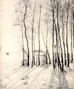 Filename=The_Paddock_in_Winter.jpg
Filesize=114KiB
Dimensions=719x857
Date added=Dec 11, 2016 The_Paddock_in_Winter.jpg