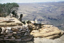 Filename=Untitled-39.jpeg
Filesize=950KiB
Dimensions=1603x1084
Date added=Jul 19, 2020 Untitled-39.jpeg