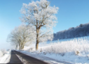 Filename=Winter.png
Filesize=821KiB
Dimensions=795x574
Date added=Jan 12, 2025 Winter.png