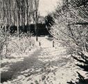 Winter_Scene.jpg